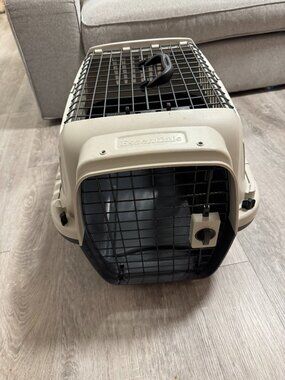 cat carrier